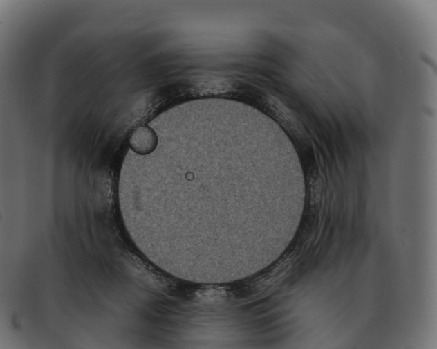 X0000092220362200710121202