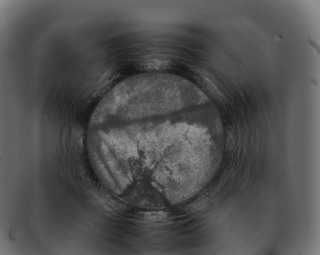 X0000092220363200710121202