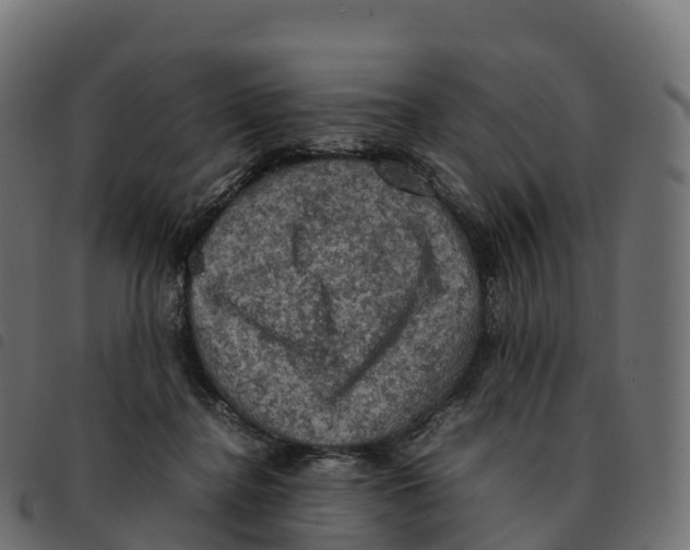 X0000092220364200710121202