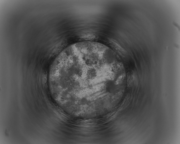 X0000092220365200710121202