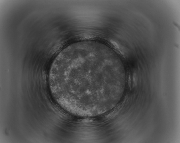 X0000092220366200710121202