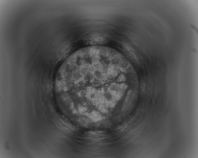 X0000092220367200710121202