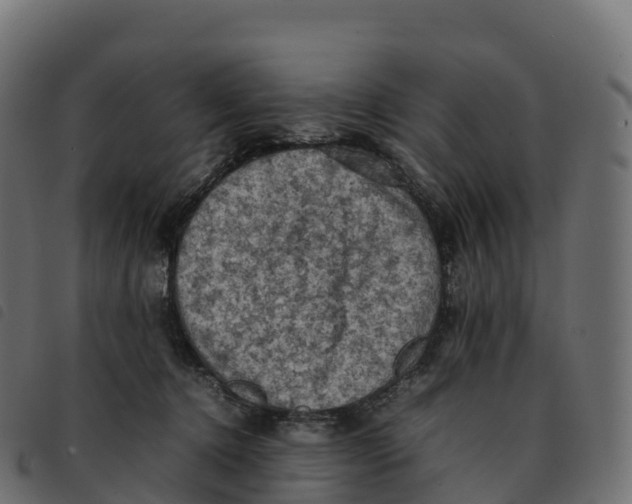 X0000092220368200710121202