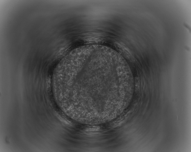 X0000092220369200710121202