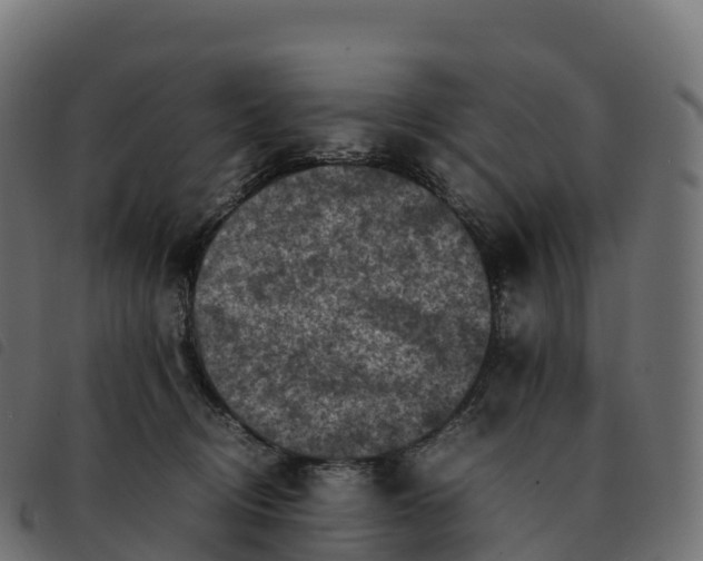 X0000092220370200710121202