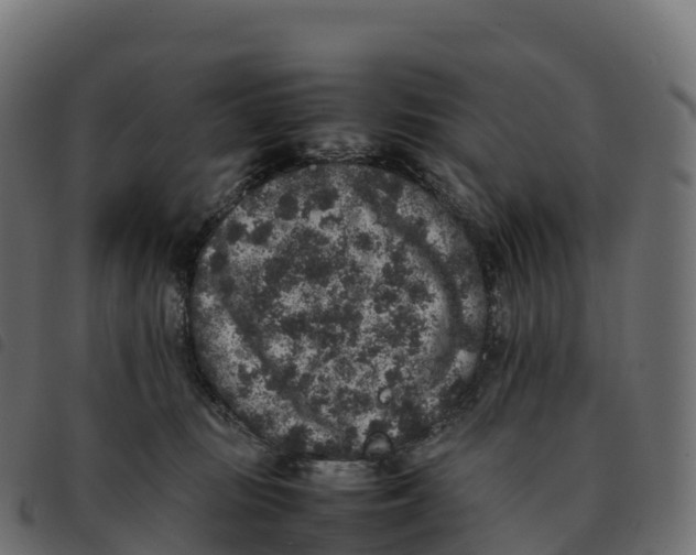 X0000092220371200710121202