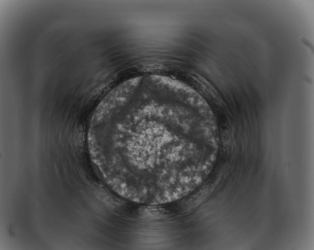 X0000092220372200710121202