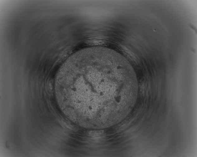 X0000092220373200710121202