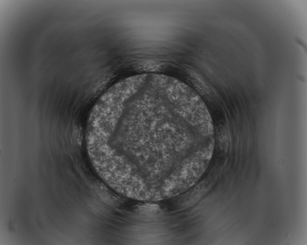 X0000092220374200710121202