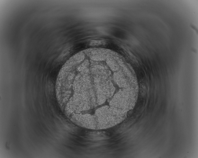 X0000092220375200710121202