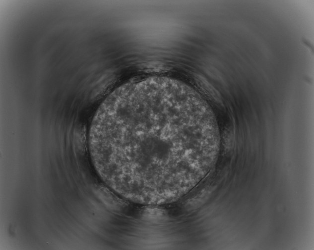 X0000092220376200710121202