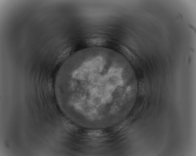 X0000092220377200710121202