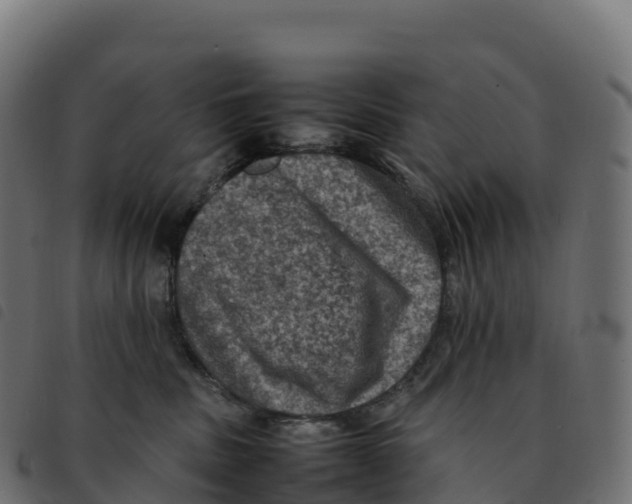 X0000092220379200710121202