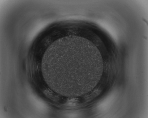 X0000092220382200710121202