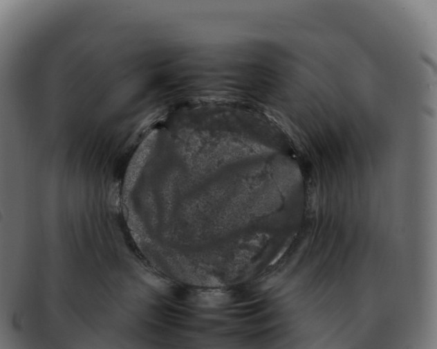 X0000092220383200710121202