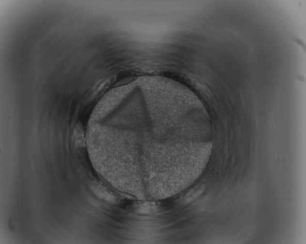 X0000092220384200710121202