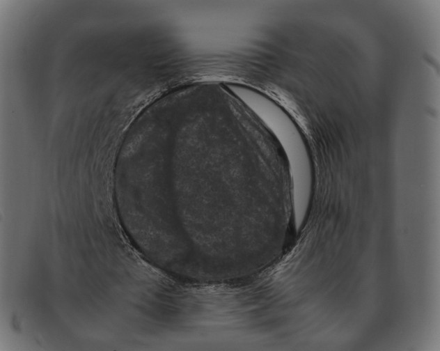 X0000092220385200710121201