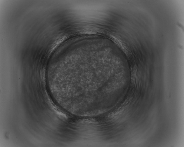 X0000092220386200710121201