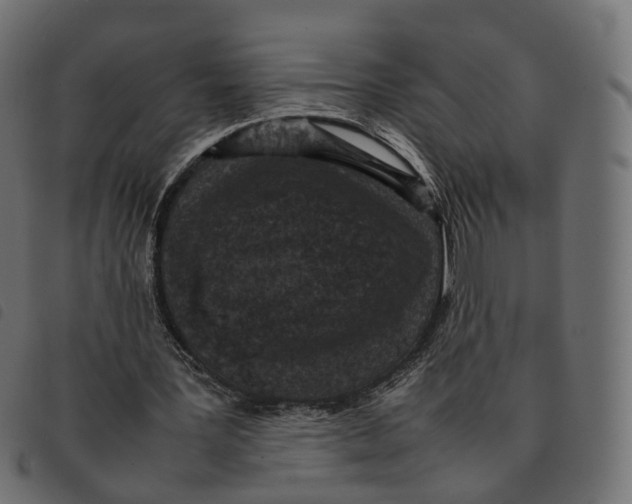 X0000092220387200710121201