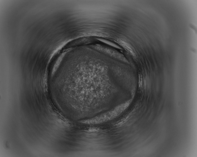 X0000092220388200710121201