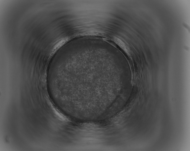 X0000092220389200710121201