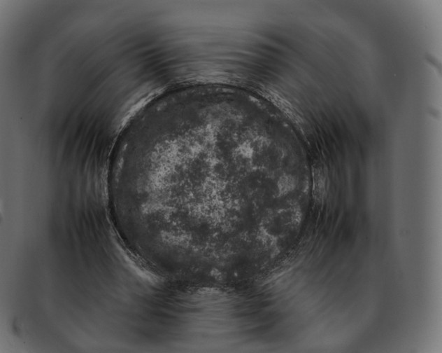 X0000092220390200710121201