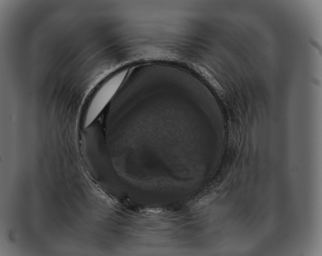 X0000092220391200710121201