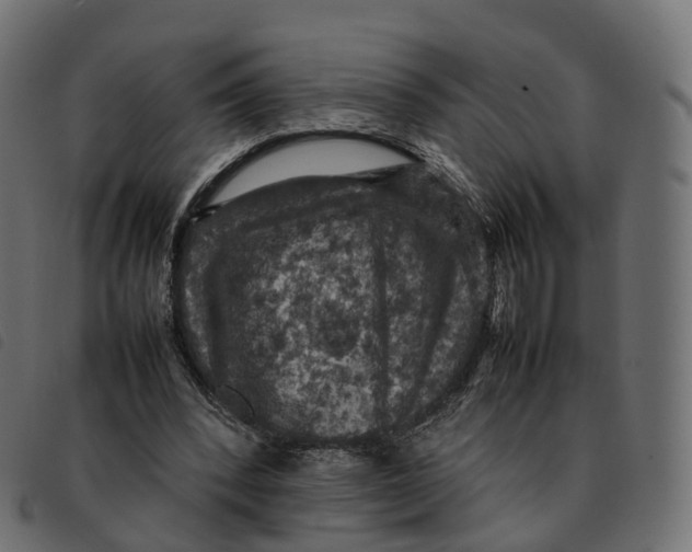 X0000092220392200710121201