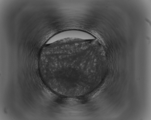 X0000092220393200710121201