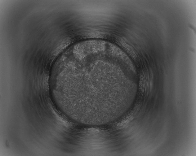 X0000092220394200710121201