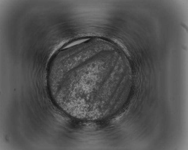 X0000092220395200710121201