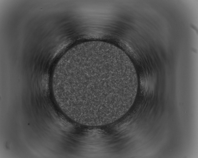 X0000092220396200710121201