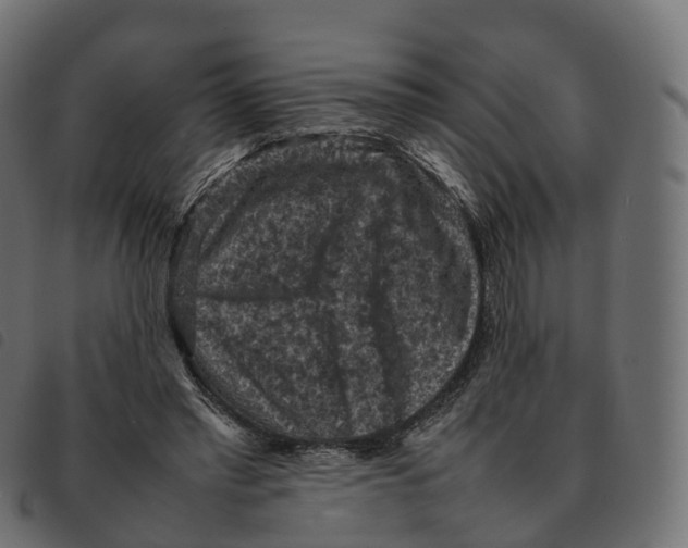 X0000092220397200710121201