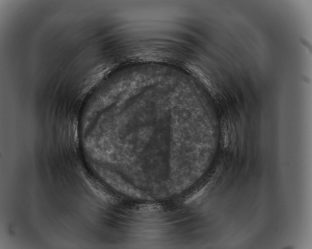 X0000092220398200710121201