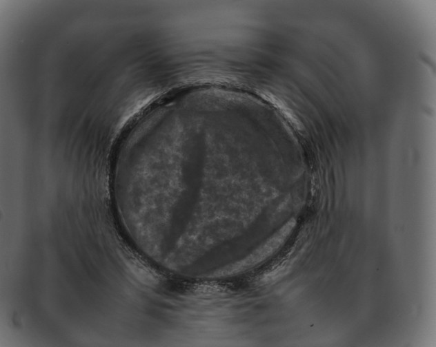 X0000092220399200710121201