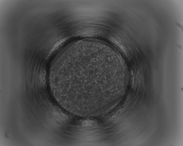 X0000092220400200710121201