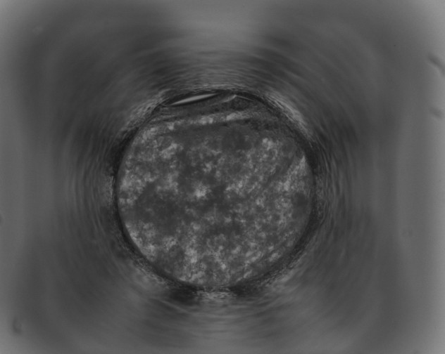 X0000092220401200710121201