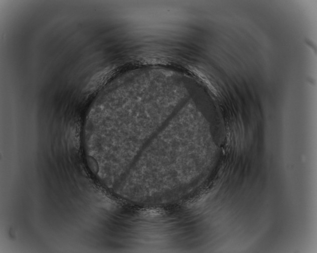 X0000092220402200710121201