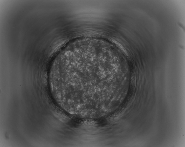 X0000092220403200710121201