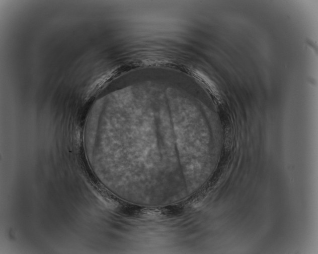 X0000092220405200710121201