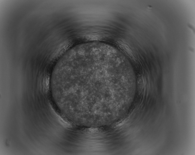 X0000092220406200710121201