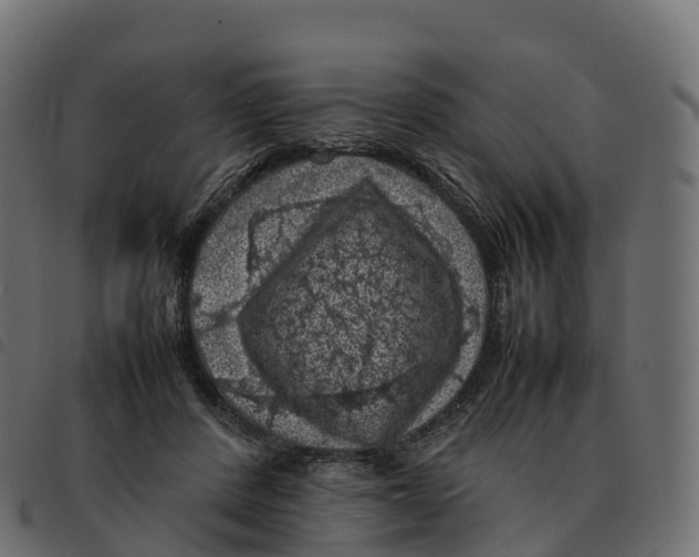 X0000092220408200710121201