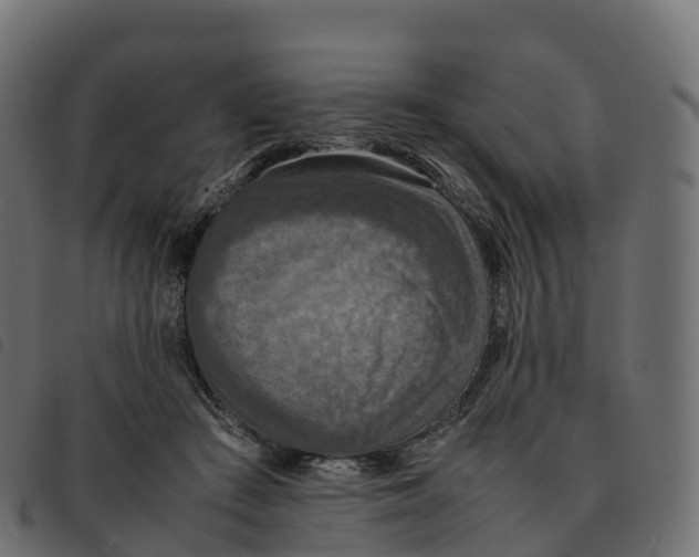 X0000092220409200710121201