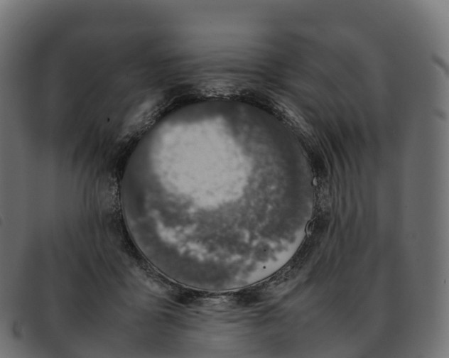 X0000092220411200710121201