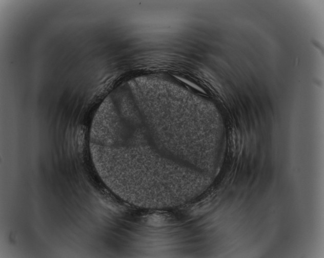 X0000092220412200710121201