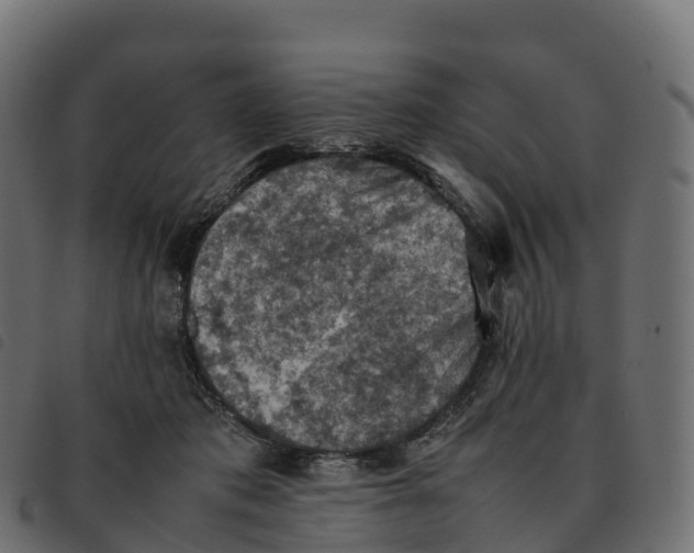 X0000092220413200710121201