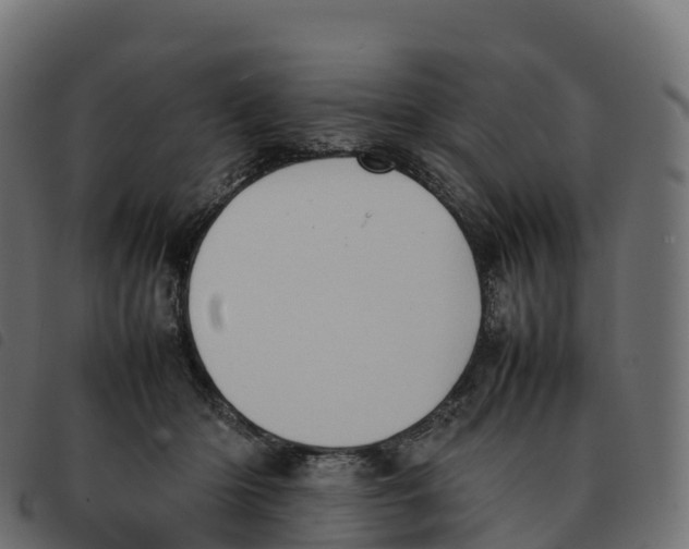 X0000092220414200710121201