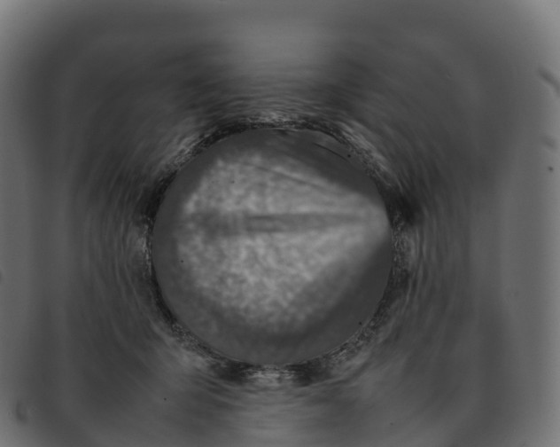 X0000092220415200710121201