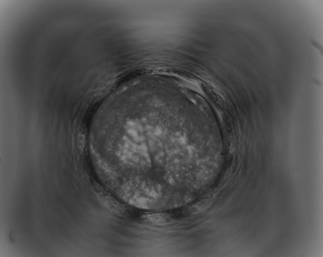 X0000092220417200710121201