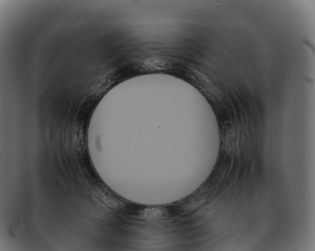 X0000092220418200710121201